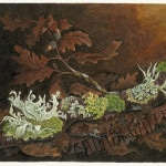 Martin, Oak Twig with Lichens