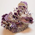 Waterman, Coral Polyps purple